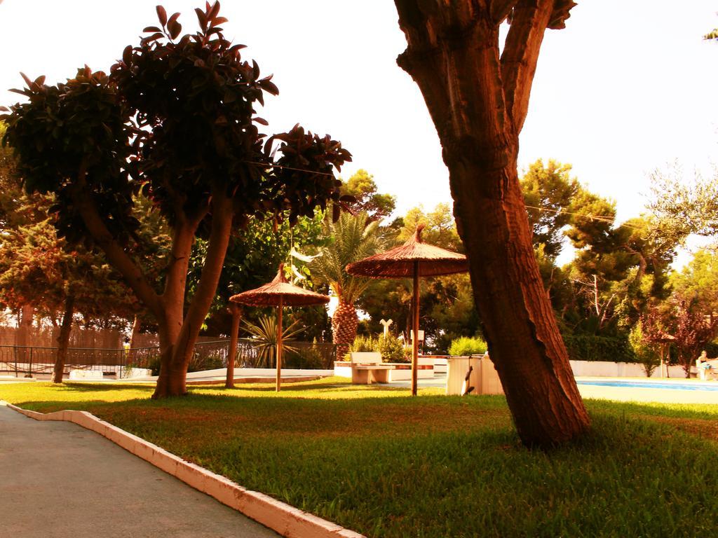 אל קאמפיו Coveta Beach Apartament מראה חיצוני תמונה