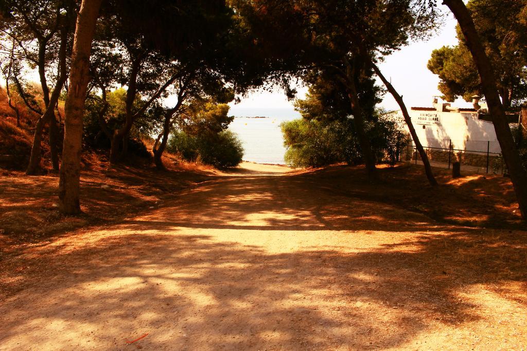 אל קאמפיו Coveta Beach Apartament מראה חיצוני תמונה